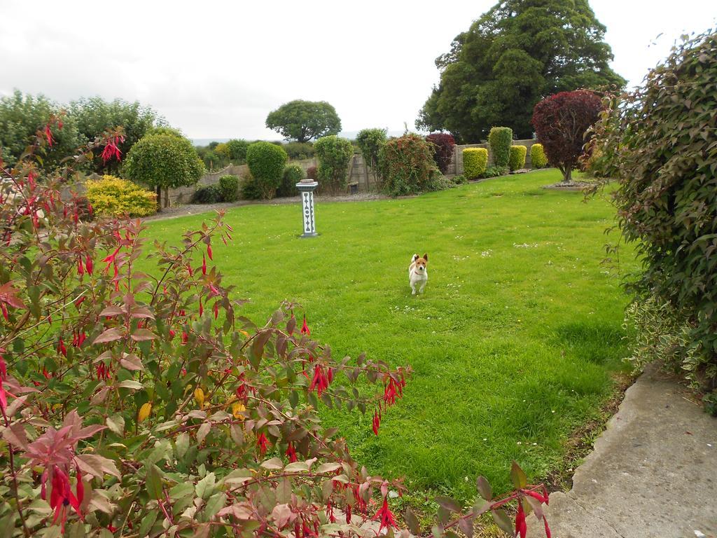 Castlehaven Villa Donaghmore  Exterior photo